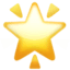 🌟