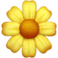 🌼